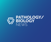 section news pathology biology path bio aafs