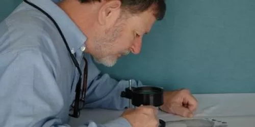 james bailey forensic science
