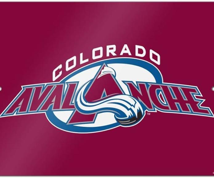 colorado avalanche-aafs 2024