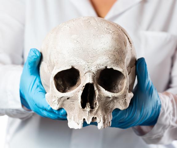 lab-skull-in-hand-anthropology-study-facial-science-forensics-standards