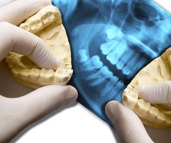 forensic-odontology-member-section-science-aafs-teeth-jaw
