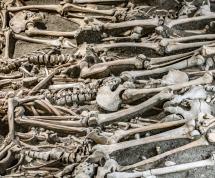 skeletal-remains-anthropology-forensic-standards-science-sex-estimation