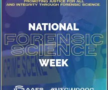 NFSW 2026
